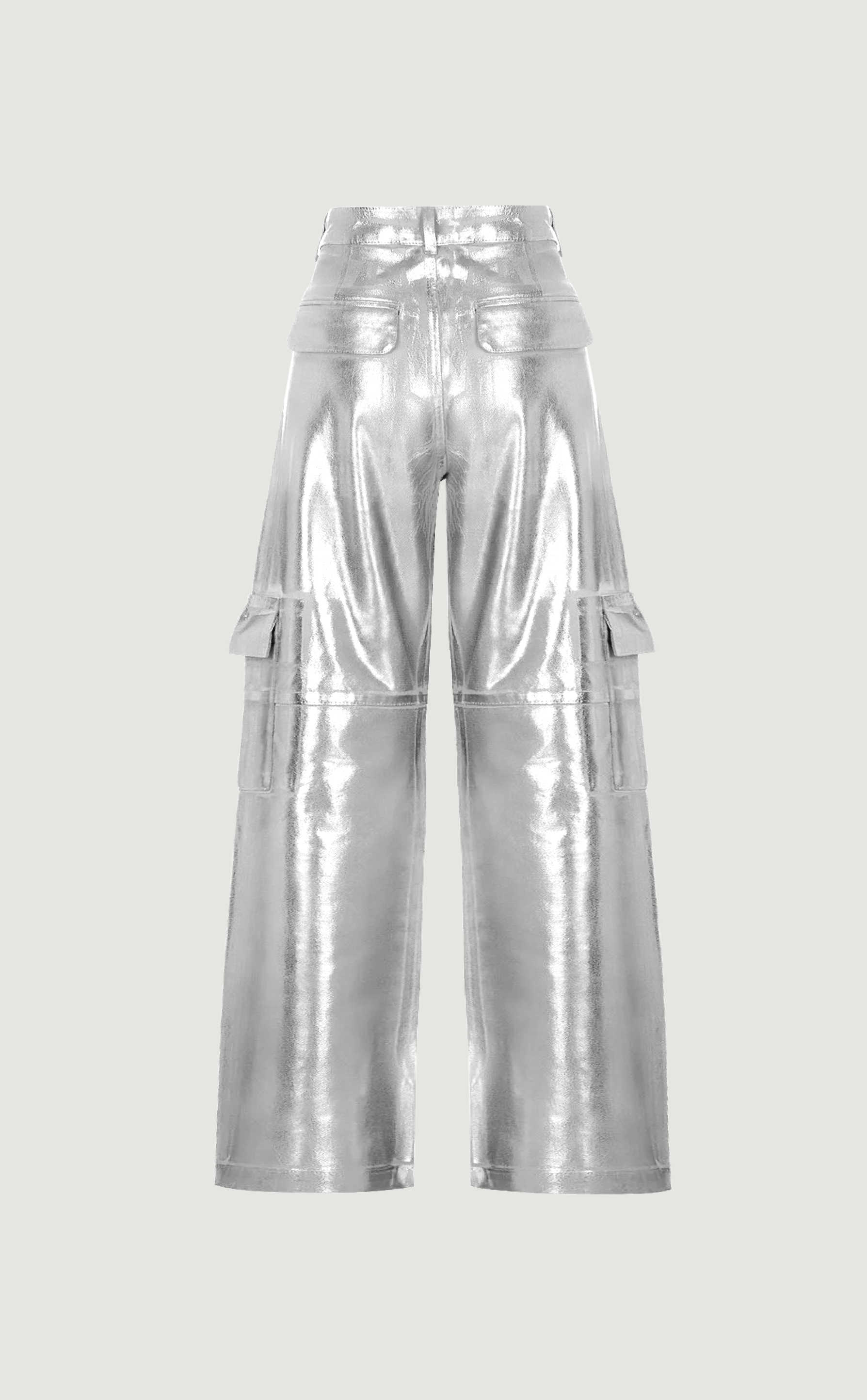 A Place in the Sun metallic cargo pants in silver