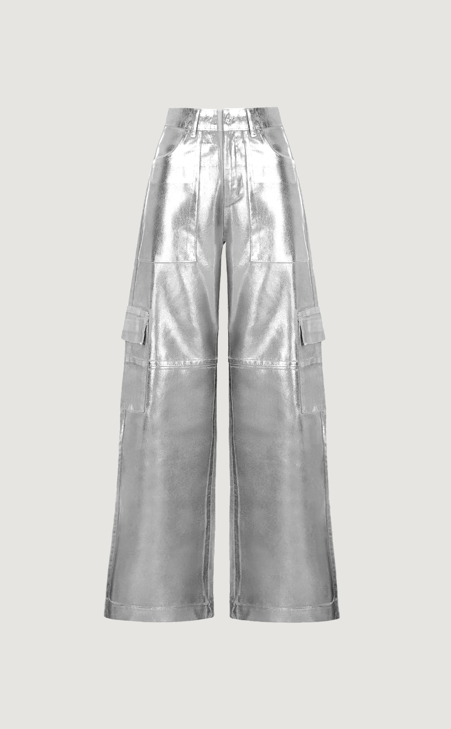A Place in the Sun metallic cargo pants in silver