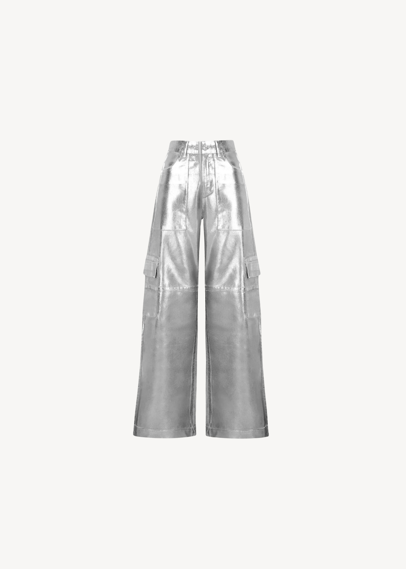 A Place in the Sun metallic cargo pants in silver